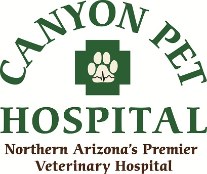 Canyon Pet Hospital