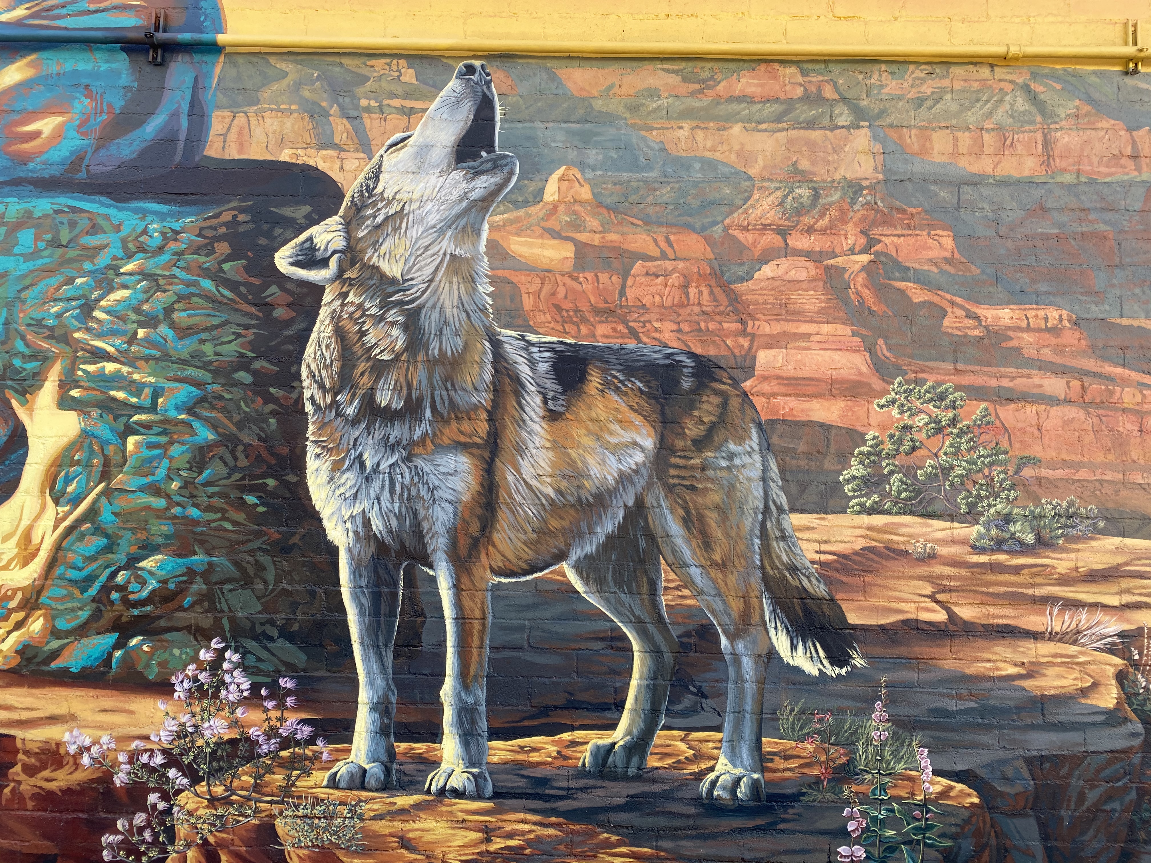 Echo the wolf mural