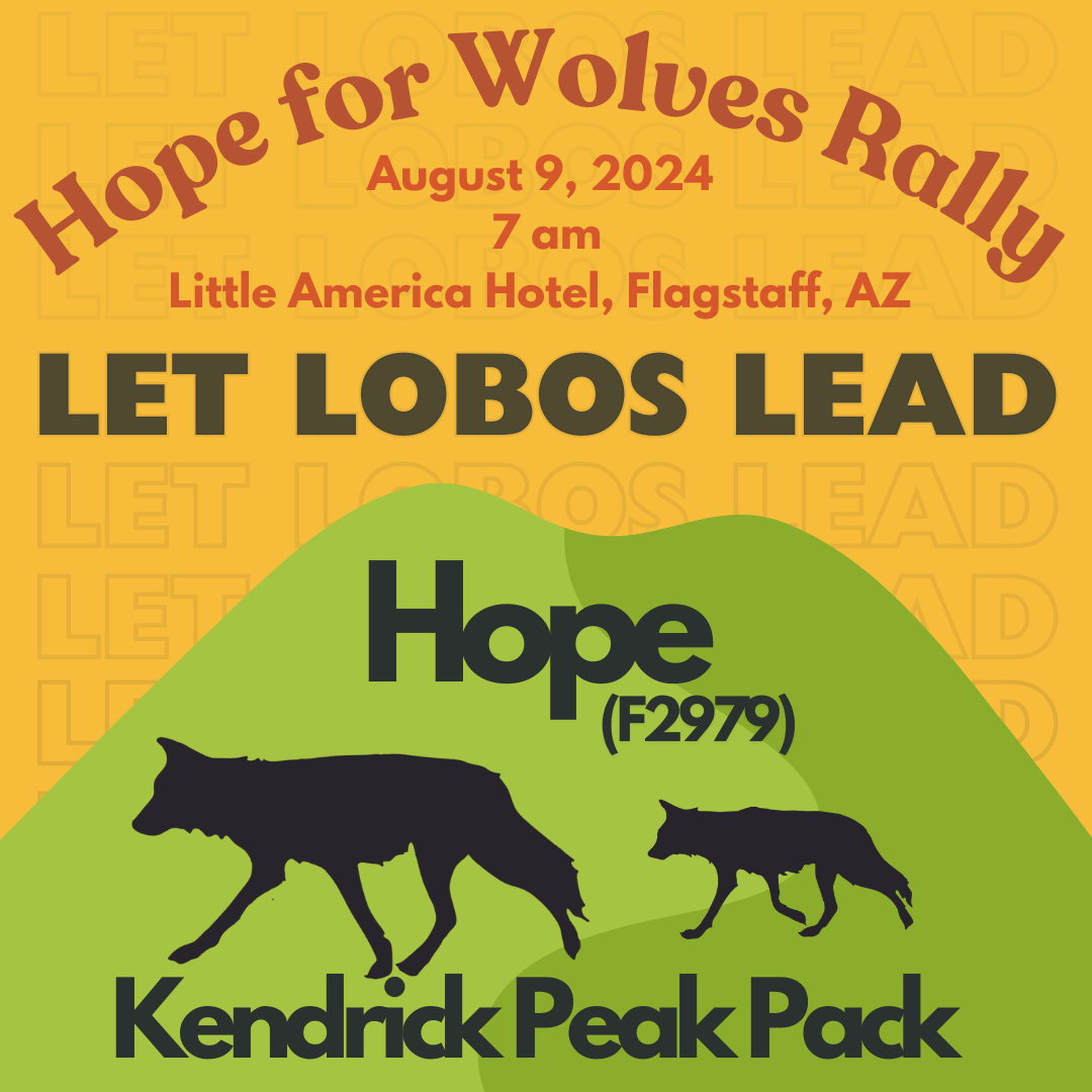 Hope for Wolves Rally 