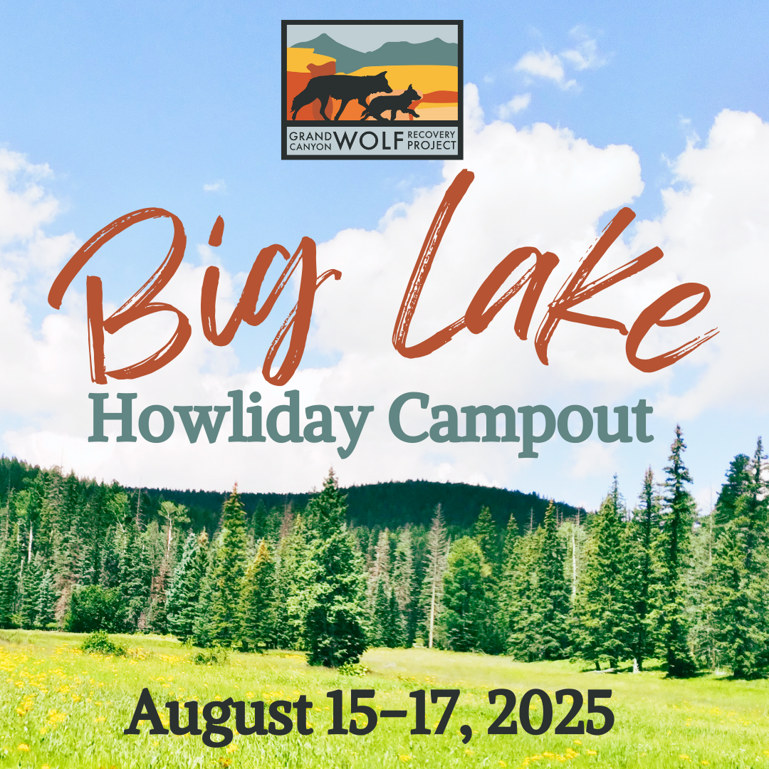 Big Lake Howliday Campout!