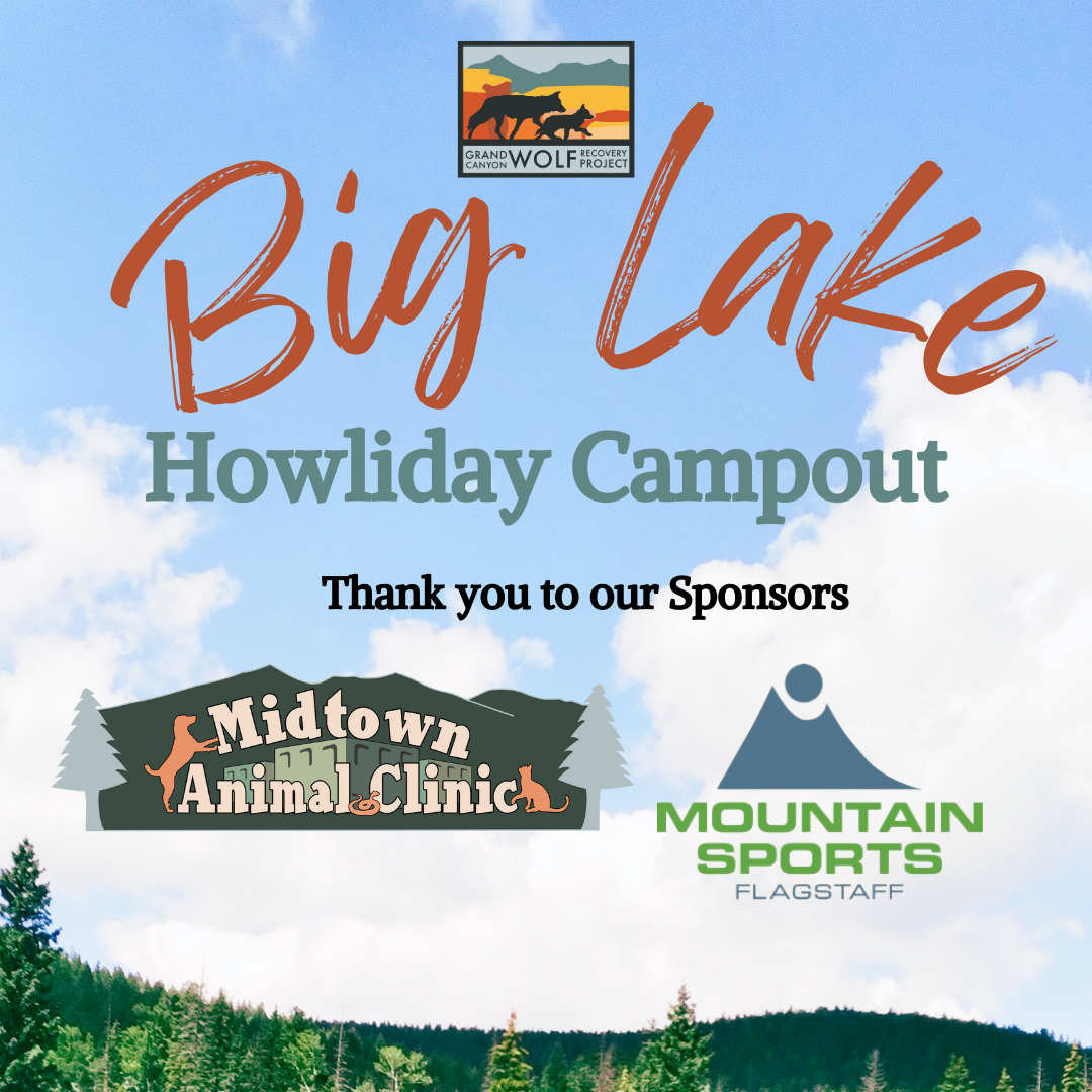 Register for the Big Lake Campout