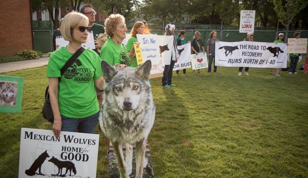July 2017 rally at USFWS wolf mtg in Flagstaff