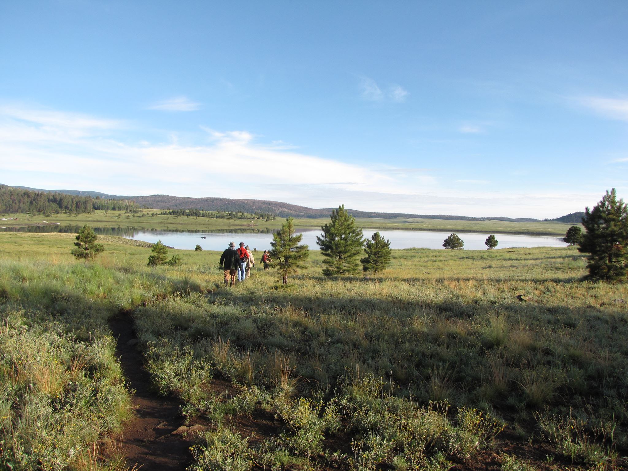 Morning bird walk at Big Lake 2013 photo by Jean Ossorio